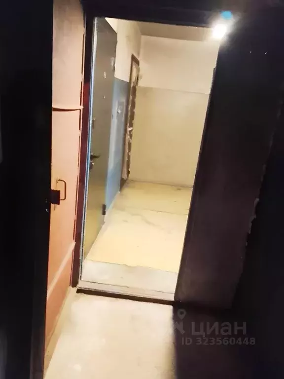 1-к кв. Вологодская область, Череповец ул. Маяковского, 13 (32.8 м) - Фото 2