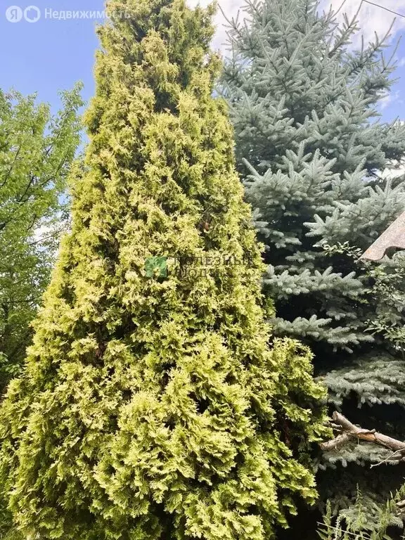 Дом в Орёл, улица Тютчева, 20 (67.2 м) - Фото 2