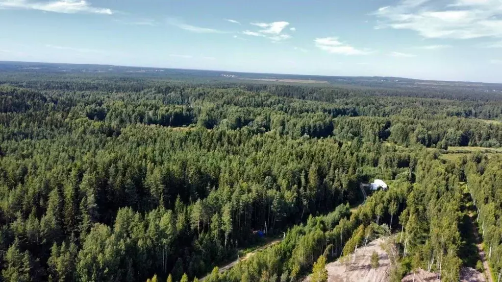 Участок в Ленинградская область, Всеволожский район, Бугровское ... - Фото 1