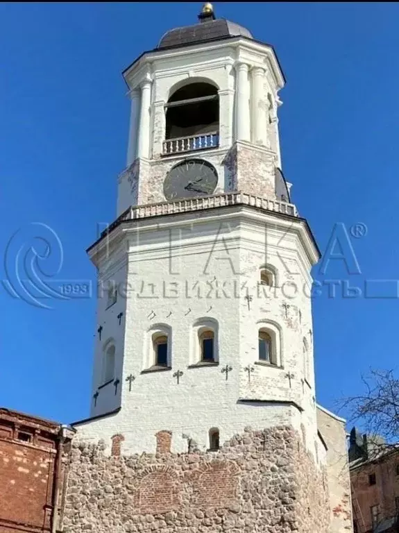 Студия Ленинградская область, Выборг ул. Сторожевой Башни, 9 (21.9 м) - Фото 1