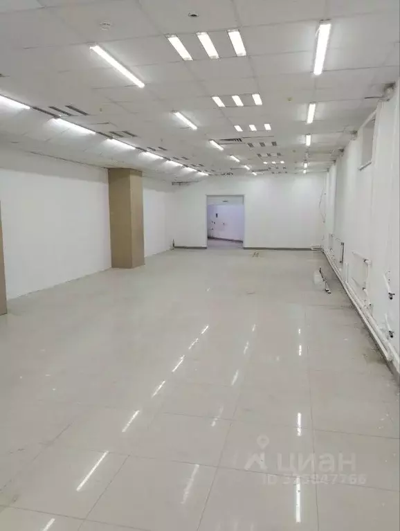 Торговая площадь в Ульяновская область, Ульяновск ул. Шигаева, 6А (107 ... - Фото 2