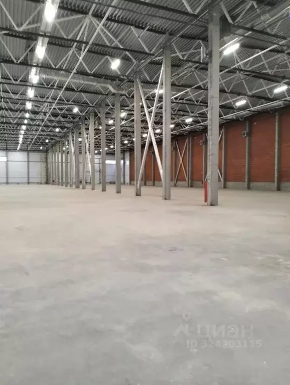 Склад в Московская область, Дмитровский муниципальный округ, д. ... - Фото 2