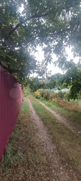 Дача 15 м на участке 4,5 сот. - Фото 0