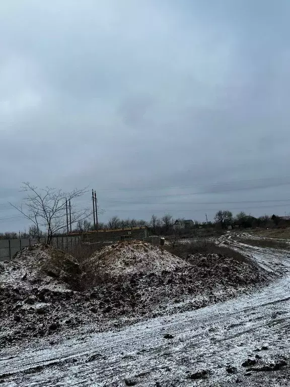 Участок в Волгоградская область, Городищенский район, Новонадеждинское ... - Фото 0