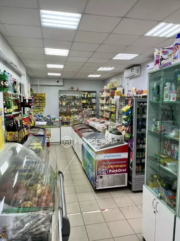 Торговая площадь в Орловская область, Орловский район, д. Жилина 3 (58 ... - Фото 1