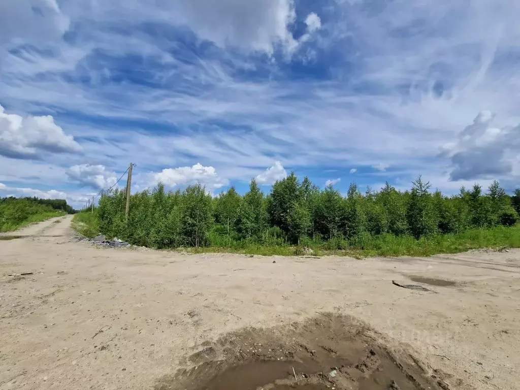 Участок в Карелия, Петрозаводск проезд Ночной (9.5 сот.) - Фото 1