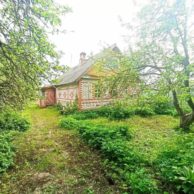 Дом в Волосово, Нарвская улица (49.5 м) - Фото 1
