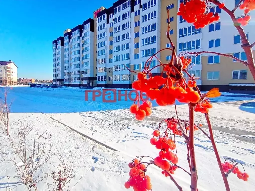 2-к кв. Новосибирская область, Новосибирский район, Мичуринский ... - Фото 0