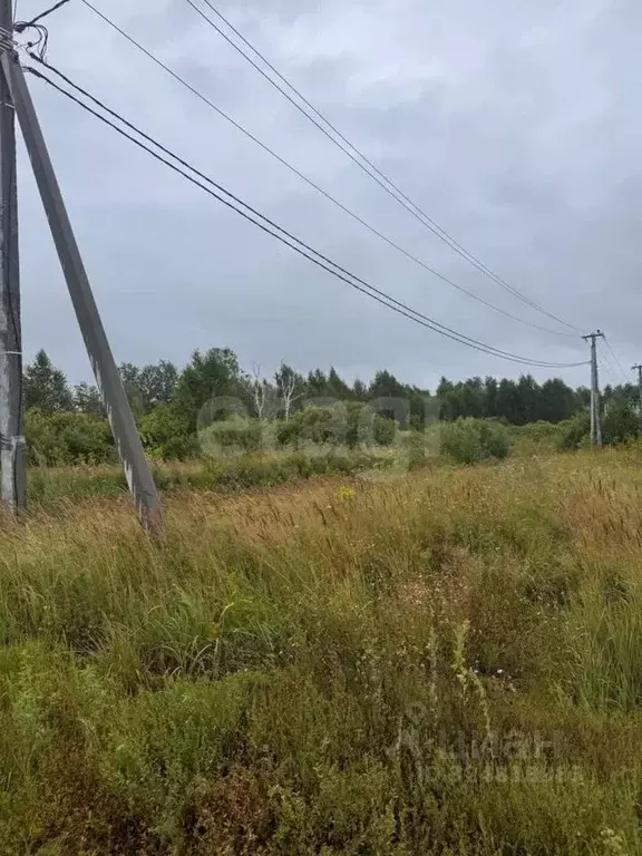 Участок в Курганская область, Шадринск ул. Фофанова, 20 (9.69 сот.) - Фото 2