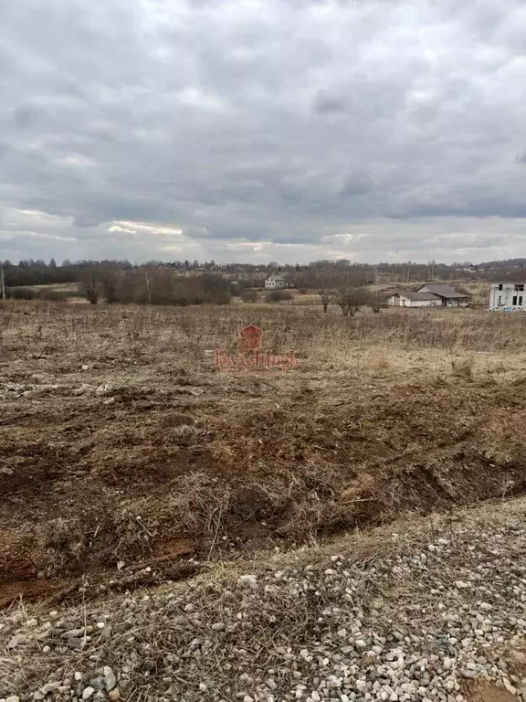Участок в Владимирская область, Александровский муниципальный округ, ... - Фото 1