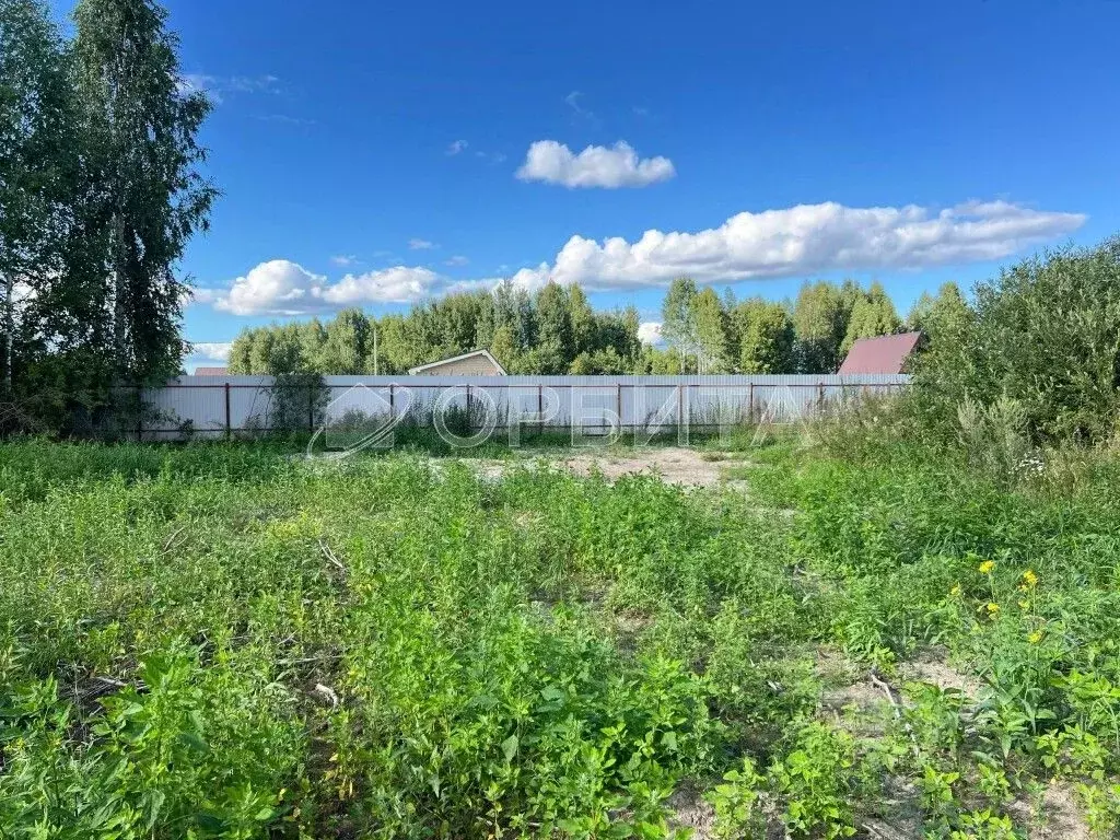 Участок в Тюменская область, Нижнетавдинский район, Березка СНТ  (7.8 ... - Фото 2