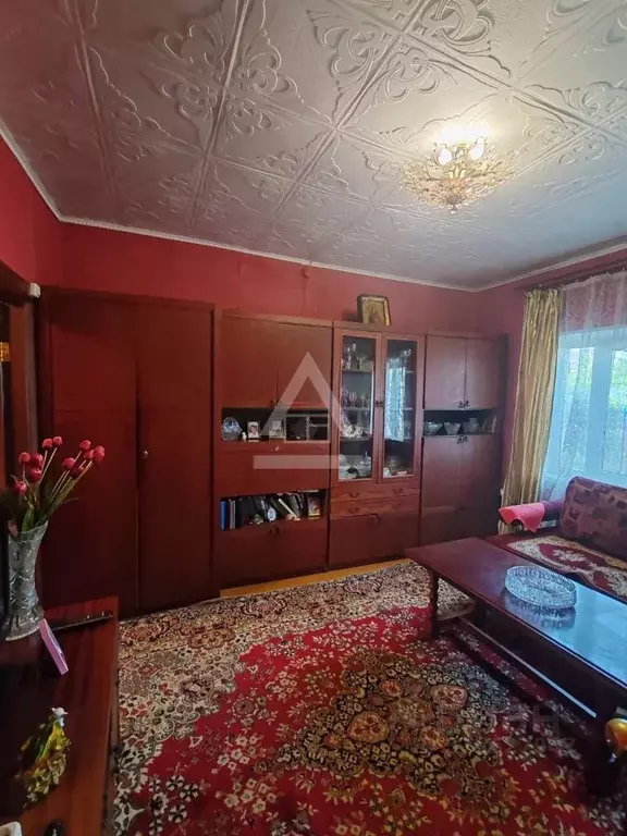 Дом в Челябинская область, Коркинский муниципальный округ, Роза рп ул. ... - Фото 2