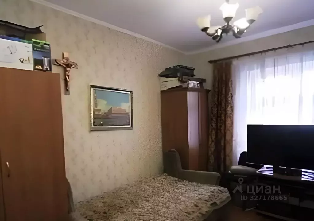 1-к кв. Московская область, Ногинск Богородский городской округ, ул. ... - Фото 2