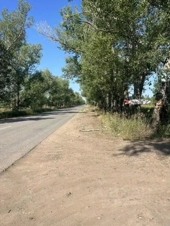 Участок в Хакасия, Бейский район, Заветный кп 1 (15.0 сот.) - Фото 2