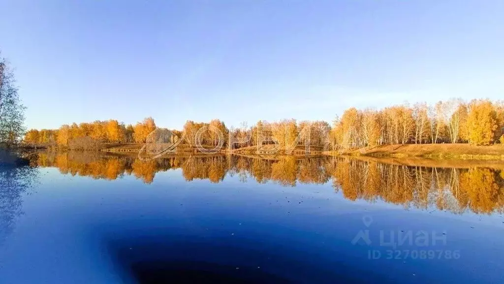 Участок в Тюменская область, Тюменский муниципальный округ, д. ... - Фото 2