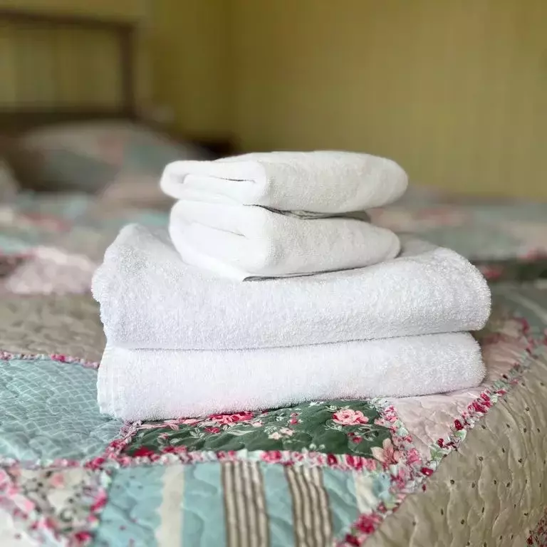 Дом в Ивановская область, Плес Приволжский район, ул. Мира, 9/9 (40 м) - Фото 2