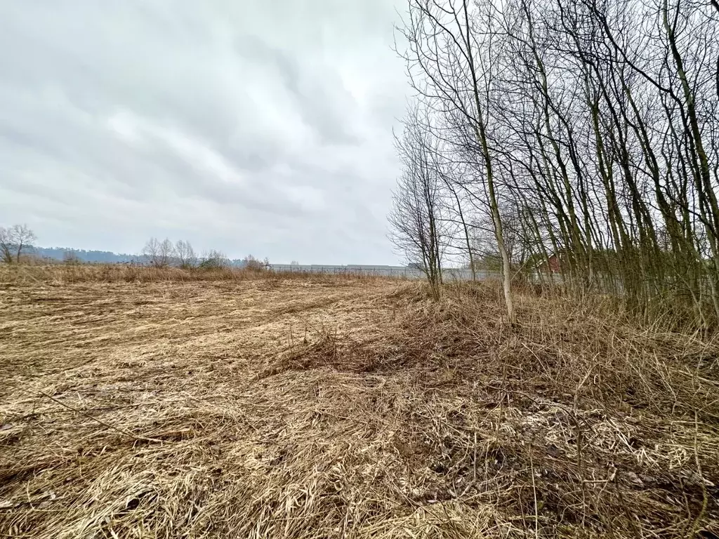 Участок в Московская область, Красногорск городской округ, с. ... - Фото 0