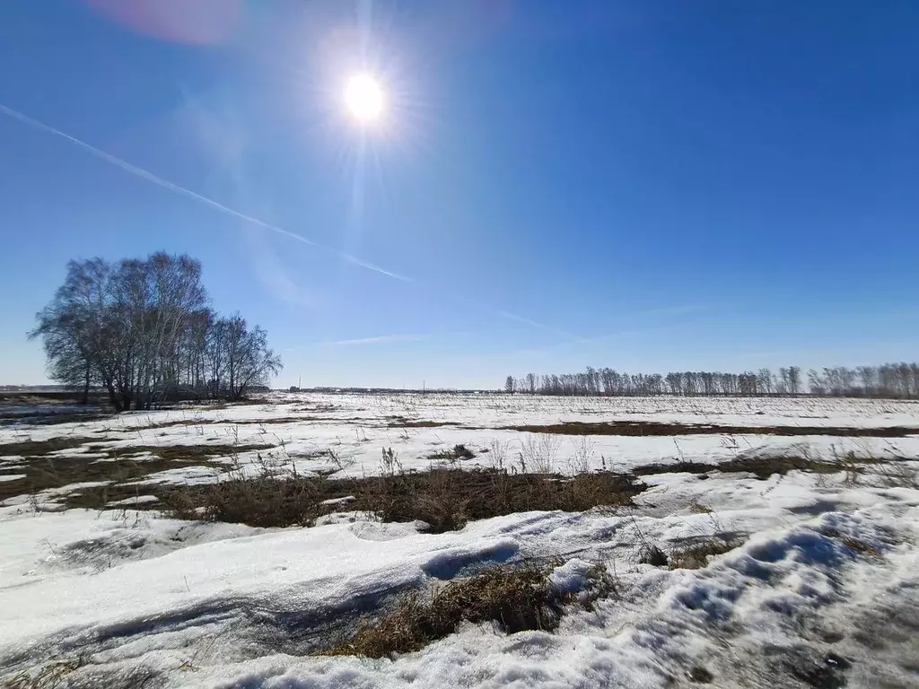 Участок в Омская область, Омский район муниципальный округ, с. Дружино ... - Фото 1