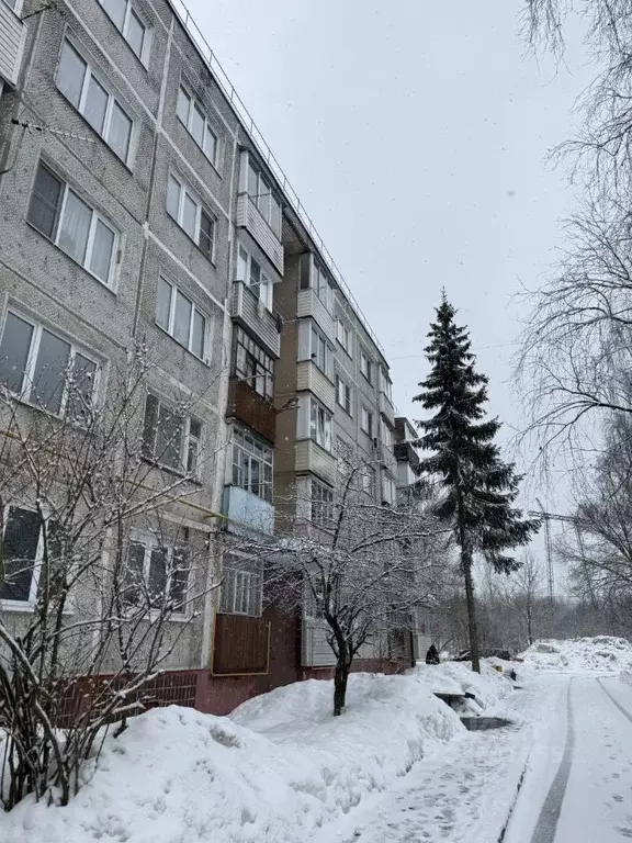 1-к кв. Московская область, Богородский городской округ, с. Мамонтово ... - Фото 2