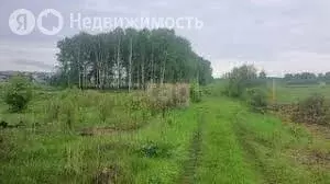 Участок в Кемерово, дачный посёлок Карболитчик (6 м) - Фото 0