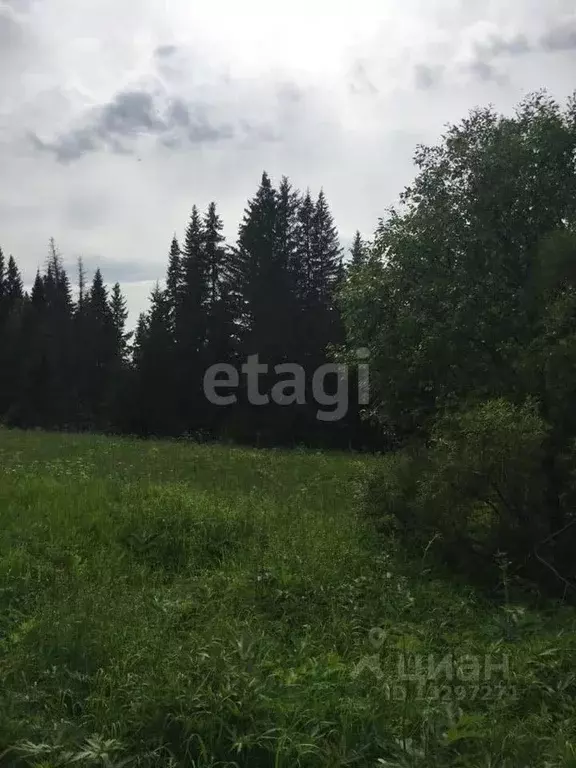 Участок в Свердловская область, Нижний Тагил городской округ, с. Сулем ... - Фото 0