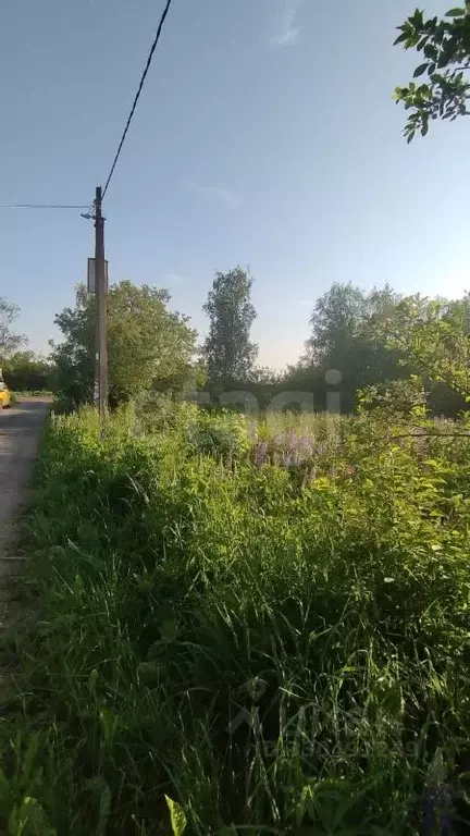 Участок в Санкт-Петербург, Санкт-Петербург, Павловск Славяночка-2 СНТ, ... - Фото 1