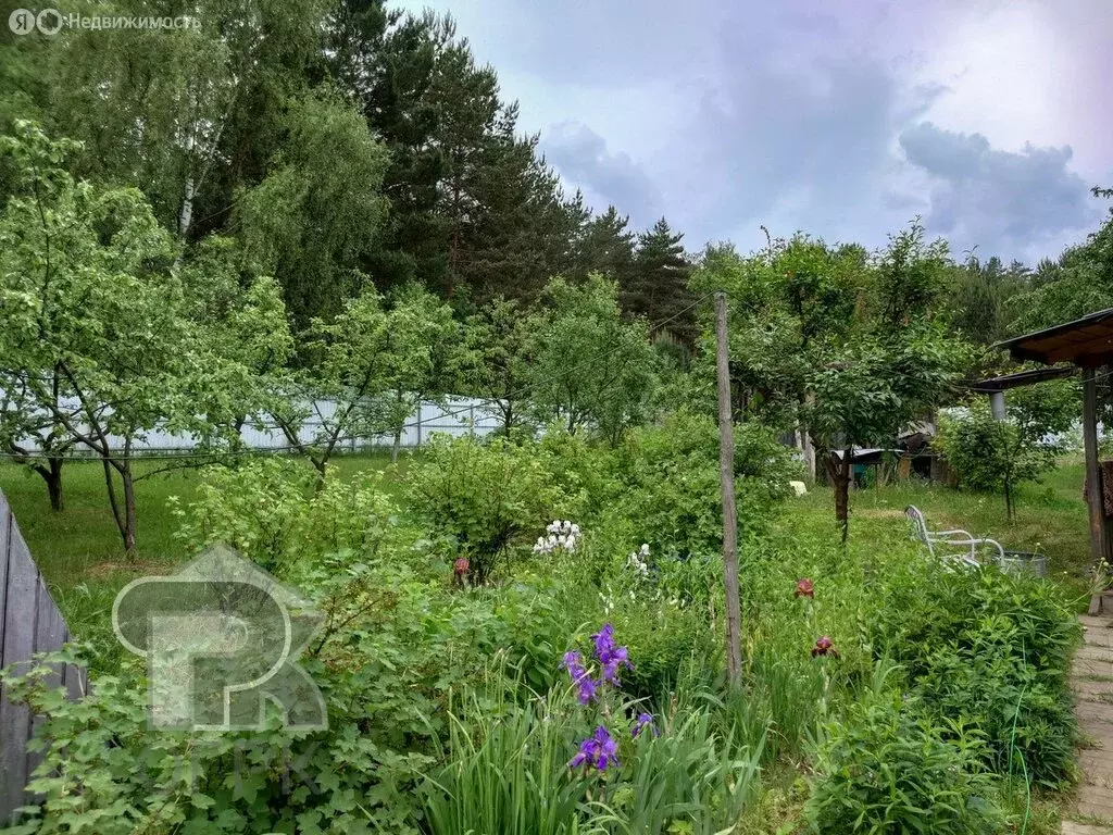 Участок в Одинцовский городской округ, село Луцино, ДНП Академический ... - Фото 1
