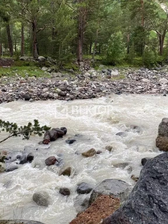 Участок в Костромская область, Кострома Струя-1 СНТ, 2 (6.0 сот.) - Фото 1