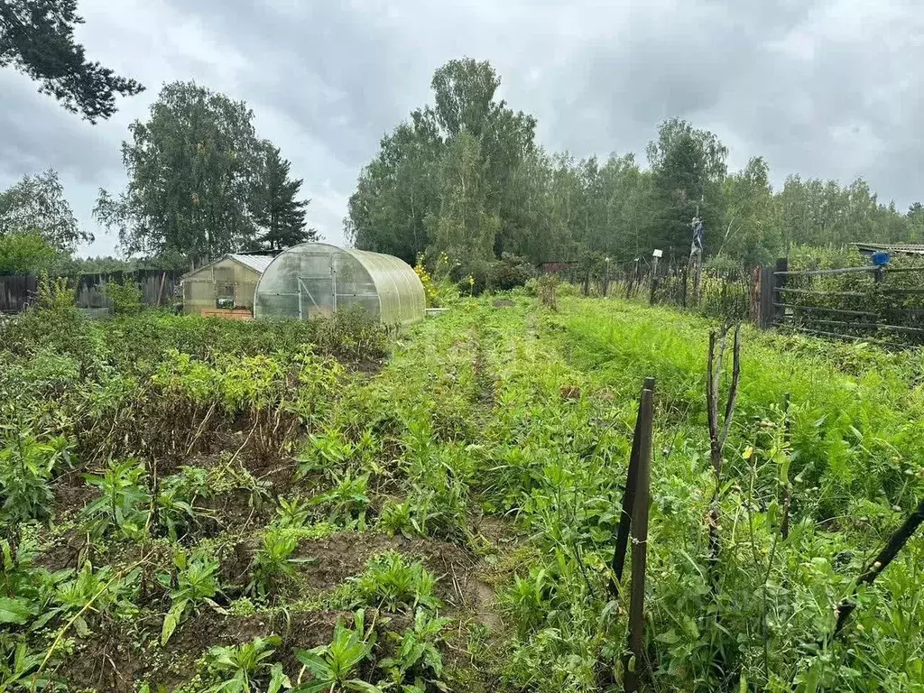 Участок в Свердловская область, Верхняя Пышма городской округ, пос. ... - Фото 0