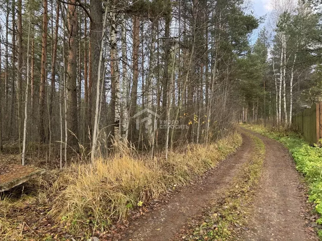 Участок в Ленинградская область, Кировский район, пос. Мга  (6.2 сот.) - Фото 1