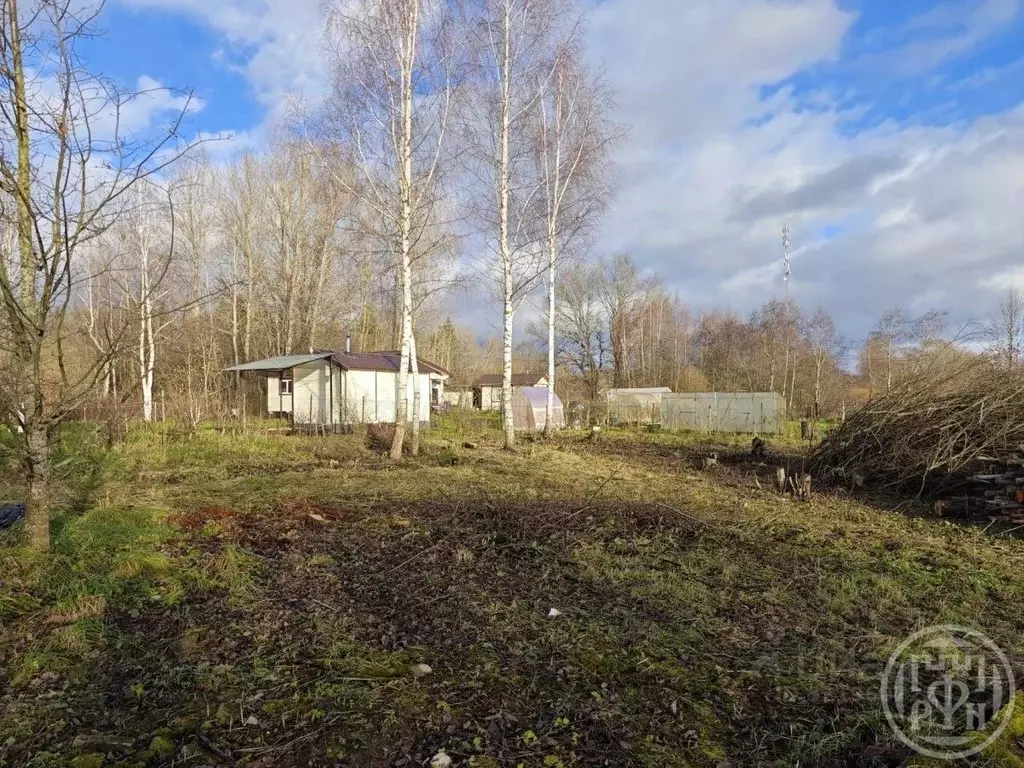 Участок в Ленинградская область, Лужский район, Заклинское с/пос, д. ... - Фото 2