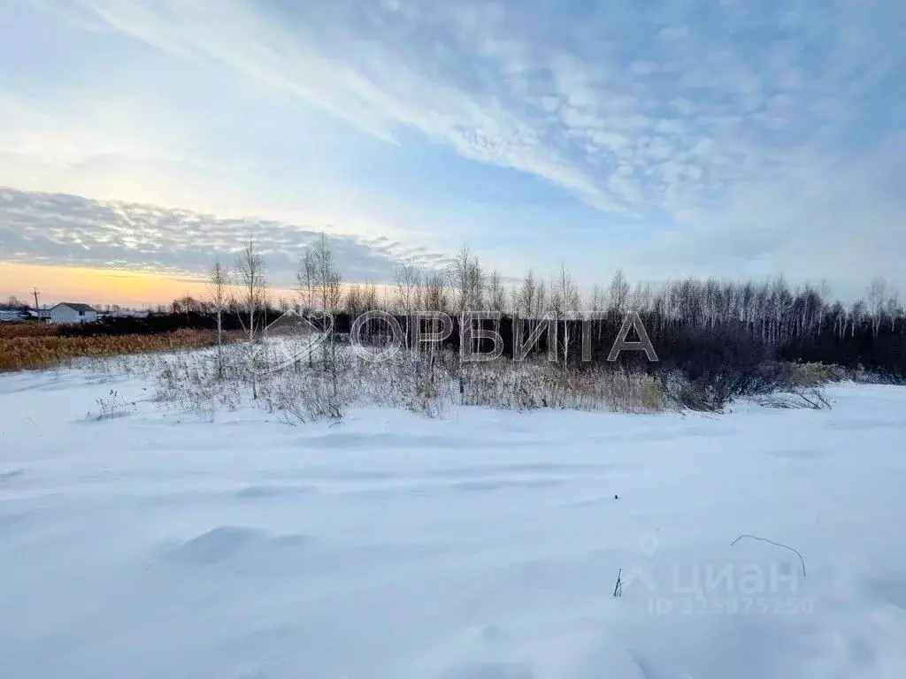 Участок в Тюменская область, Тюмень  (8.0 сот.) - Фото 1