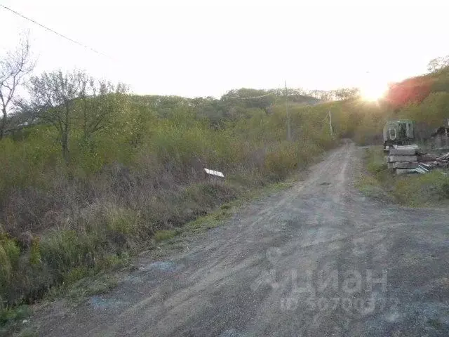 Участок в Приморский край, Партизанский муниципальный округ, с. ... - Фото 0