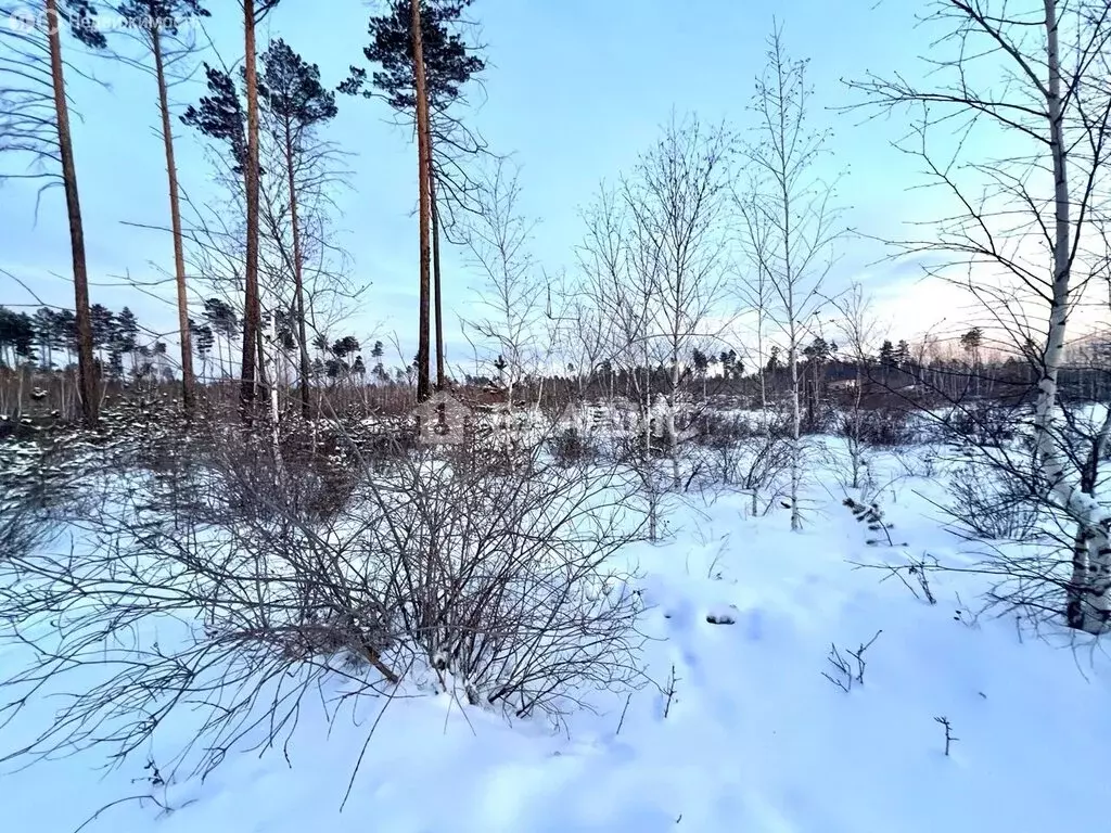 Участок в село Смоленка, урочище Лесное (43.23 м) - Фото 2