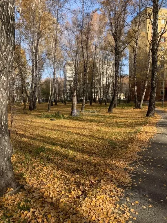 1-к кв. Тюменская область, Тюмень Шаимский проезд, 22 (33.5 м) - Фото 1