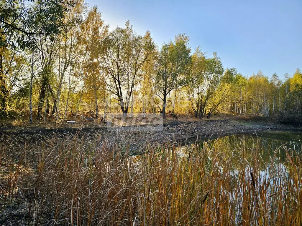 Участок в посёлок Первомайский, улица имени Ильи Вокина, 28 (10 м) - Фото 1