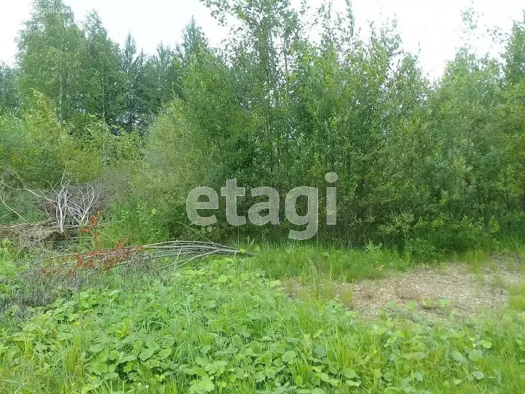 Участок в село Выльгорт, СДТ Помидор, проезд 5-2 (10 м) - Фото 1