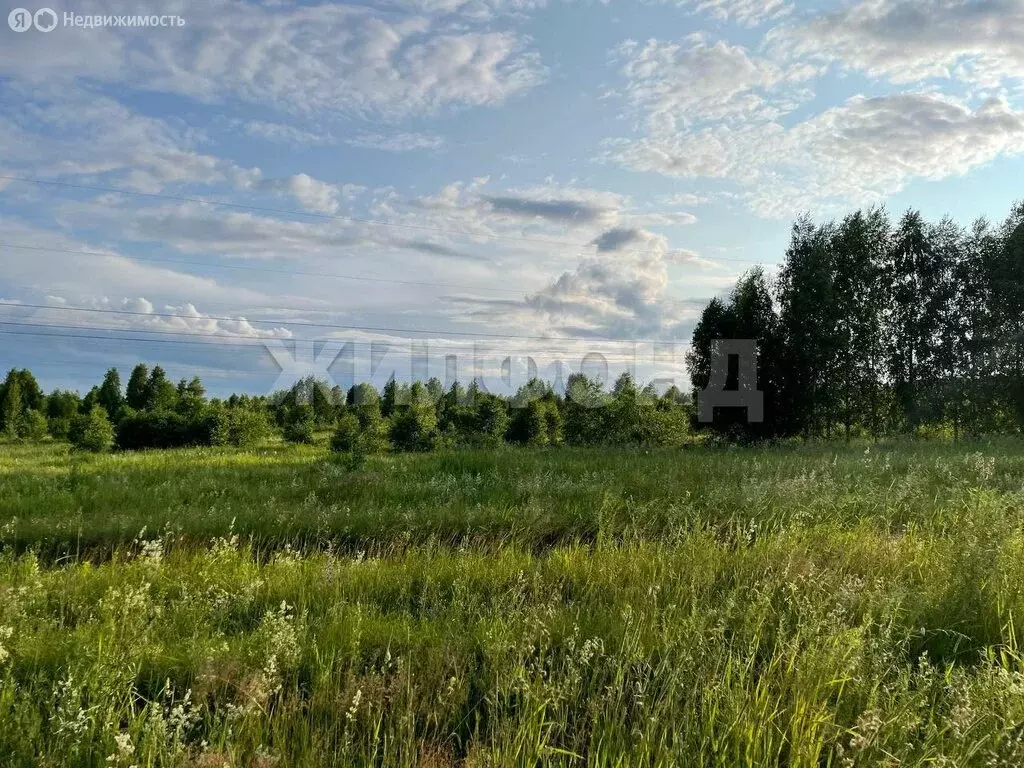 Участок в Новолуговской сельсовет, СНТ Луговое (10.18 м) - Фото 1