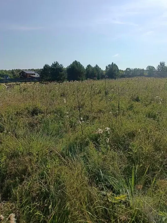Участок в Пермский край, д. Косотуриха ул. Центральная (12.0 сот.) - Фото 0