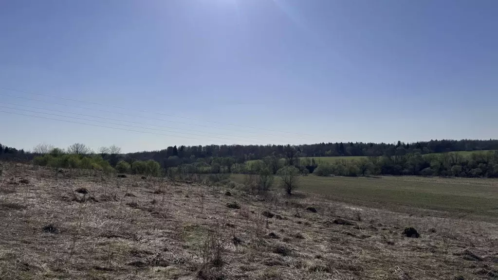 Участок в Калужская область, Жуковский район, Корсаково с/пос  (11.7 ... - Фото 1