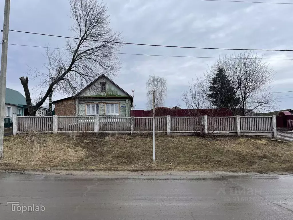 Дом в Тамбовская область, с. Пичаево ул. Ленинская, 116/15 (58 м) - Фото 2