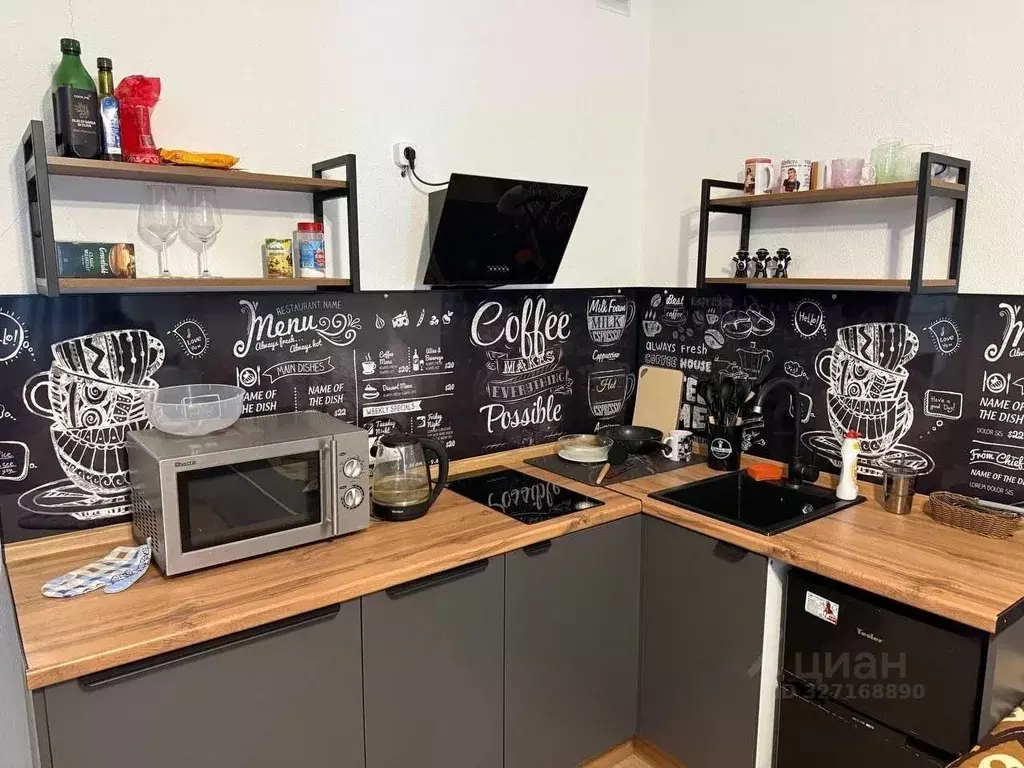 Студия Московская область, Солнечногорск городской округ, Голубое пгт ... - Фото 2