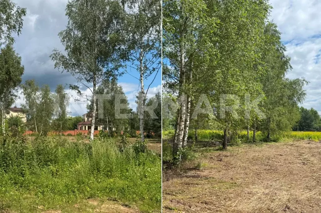 Участок в Московская область, Красногорск городской округ, д. ... - Фото 2