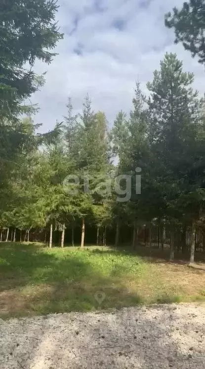 Участок в Московская область, Ступино городской округ, Шелково ТСН  ... - Фото 1