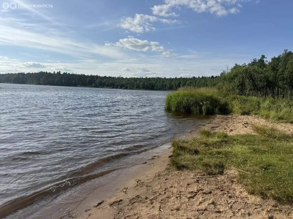 Участок в посёлок Ильичёво, Берёзовый проезд (15 м) - Фото 2