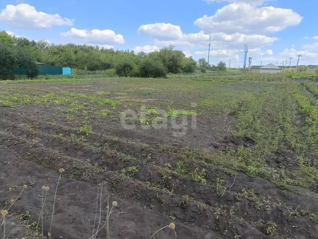 Участок в Белгородская область, Корочанский муниципальный округ, с. ... - Фото 1
