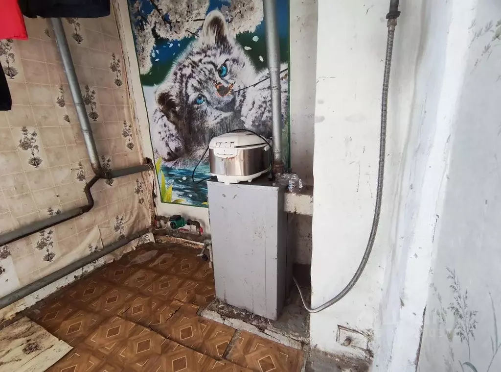 Дом в Брянская область, Навлинское городское поселение, д. Алексеевка ... - Фото 2