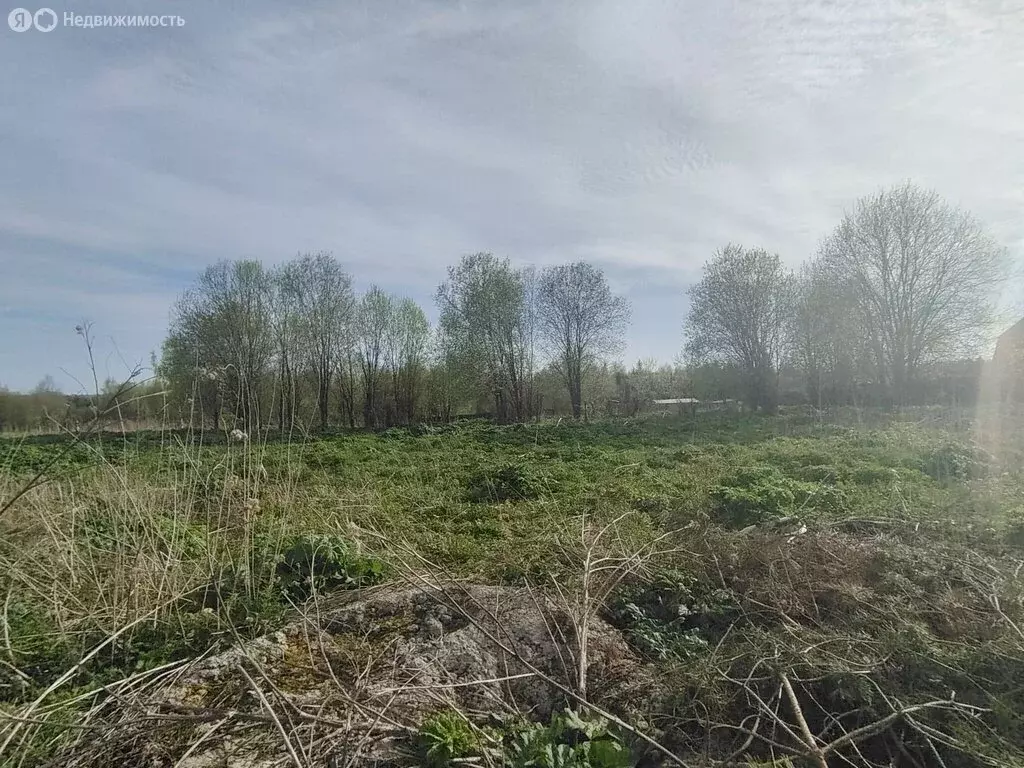 Участок в Бережковское сельское поселение (13.2 м) - Фото 0