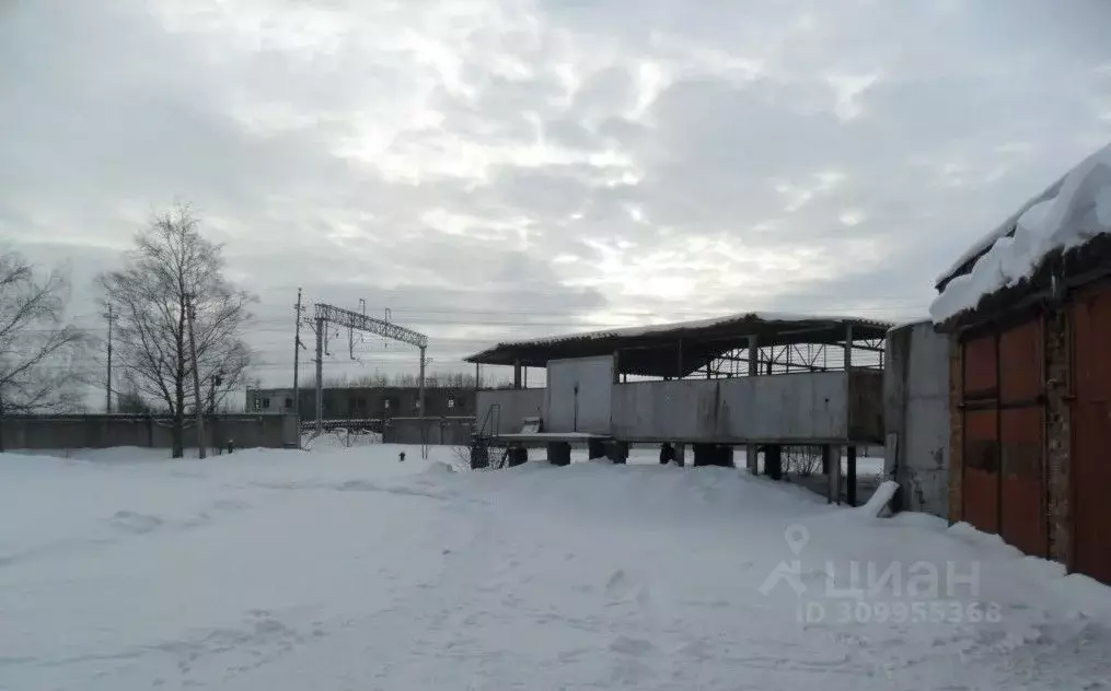 Производственное помещение в Ленинградская область, Волосовский район, ... - Фото 0