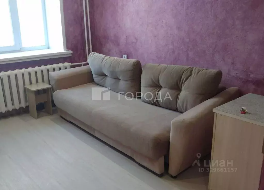 Студия Новосибирская область, Новосибирск ул. Ломоносова, 59 (16.5 м) - Фото 2